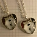 Collar // Gatos besándose // 🐱❤🐱